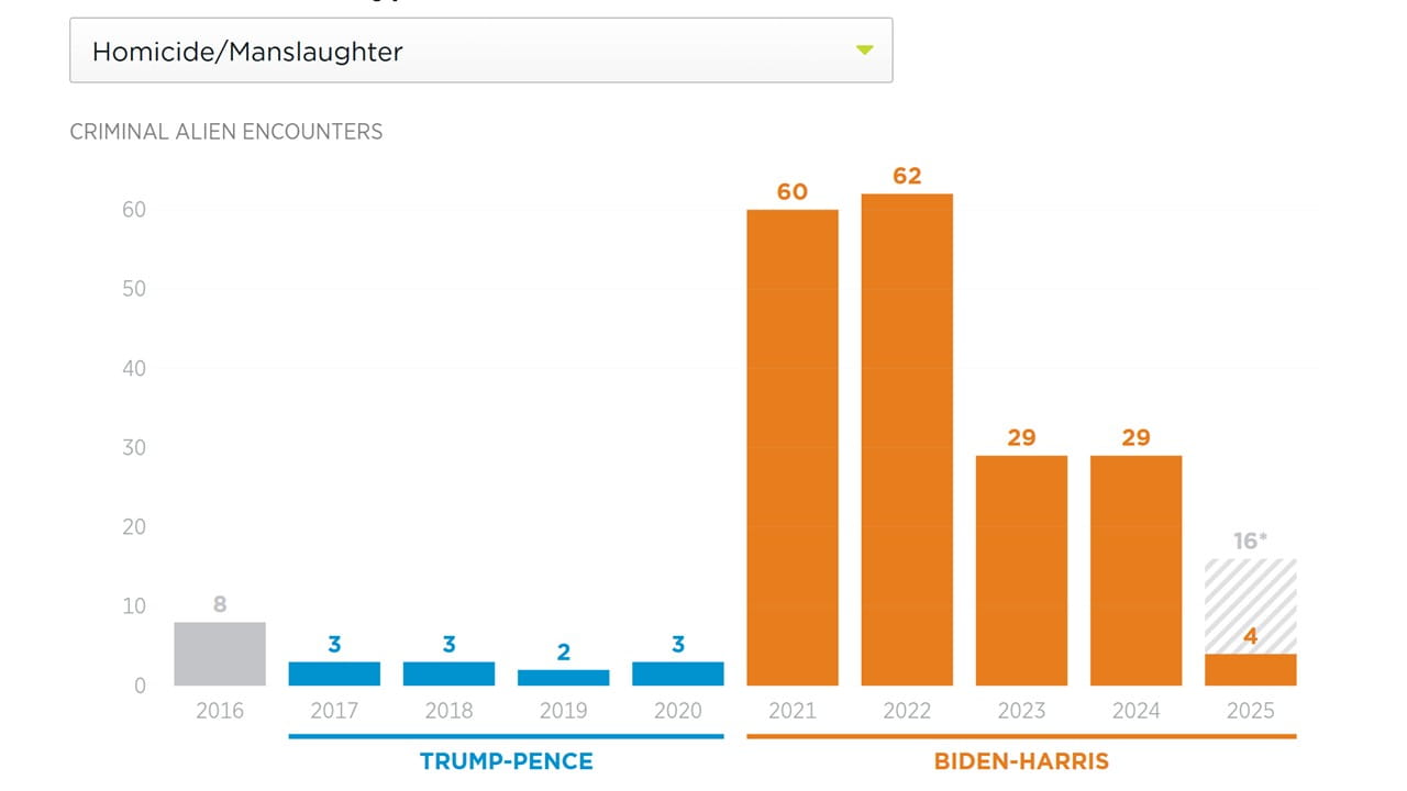 Homicides and Manslaughters Graph